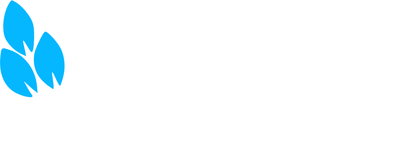 Disayana Digital Marketing